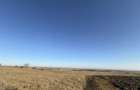 Teren extravilan | Rădăuți | 600 m de centură | 20 m front - 1