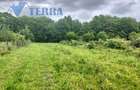 De vânzare - 2 loturi teren intravilan în Mioveni, str. Egalității. - 3
