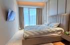 Inchiriere 3 Camere One Herastrau Vista - 10