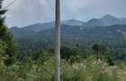 Teren intravilan, 1.724 mp, zona Sinaia - 13