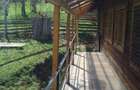 Vilă de Vânzare în Comuna Bran, Sat Predeluț - Județul BRAȘOV - 12