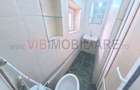 Piata Alba Iulia - Matache Dobrescu - apartament 2 camere in vila - 5