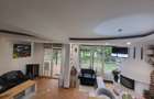 Casa Vermont, cu Padure Privata, Paradisul Verde, teren 1800mp, gradina matura - 6