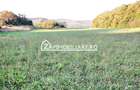 De vanzare 2 terenuri de 29.500 mp si 1.400 mp.29 euro mp - 10