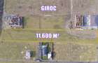 Teren arabil intravilan pentru PUZ 11.600mp | Giroc - 4