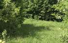 Vand teren in Albestii de Muscel faneata-pasune, partial impadurit - 8
