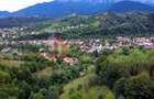 Teren de investiție în Moieciu, lângă Castelul Bran – 11.381 mp, vedere Bucegi - 11