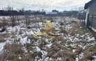 Teren de vanzare 3400 mp Lilieci Bacau - 12
