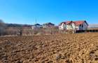 Teren intravilan 13175mp utilitati Ciolpani Strada Alunisului - Padurea Snagov - 10