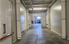 Spatii Frigorifice - 2000 mp - Depozitare - Refrigerare - 2