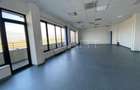 Spatiu birouri 150mp zona Industriala Vest - 1