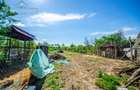 Casă Nouă „la Roșu” cu Teren Generos – Șoimoș, Arad - 13
