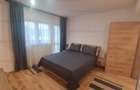 Vila Lux ,CRISTIAN, P+M, 4 camere,teren 567 mp, - 34