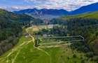 Teren intravilan de 1 ha cu vedere la munte – Zărnești, Brebina - 5