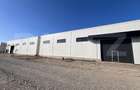 Hala, 600 mp, zona Aeroport - 1