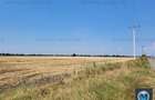 Teren intravilan de vanzare, zona Exterior Sud, 9903 mp #16110 - 4