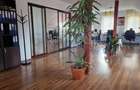 Spațiu de birouri - DE INCHIRIAT - Zona Central/Nicopole - 4