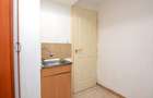 INCHIRIERE APARTAMENT 2 CAMERE ULTRACENTRAL– PIATA ROMANA- MIHAI EMINESCU - 17