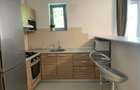 2 camere in Herastrau - 9