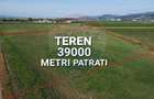 Teren 39,500mp Vintu de Jos - 1
