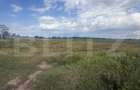 Teren intravilan, 1.000 mp, zona Priseaca - 1