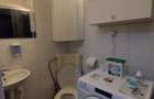 Apartament cu 1 camera- ETAJ  1- Iulius Mall - 3