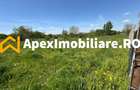 Teren intravilan de vanzare  Cornetu IF | ApexImobiliare.ro - 4