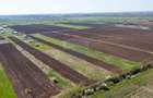 Vanzare teren intravilan 500 mp Sabareni /  Strada Orhideelor - 10