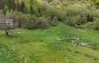 Intravilan | 10.000 mp| Sătic-Rucăr | Acces facil | Potențial excelent - 7