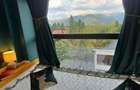 VAND PENTHOUSE 280 MP IN VILA + GARAJ LUX IN SINAIA PH COTA 1400 - 10
