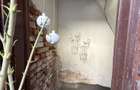Apartament 1 camera, 20mp, parter - zona Elisabetin - 10