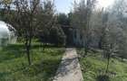 Casa  cu 2180 teren intravilan langa padure zona Popesti - 9