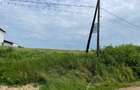 Teren Piscu intravilan,12500 mp, 15 euro mp, 30 m deschidere, toate utilitatile - 7
