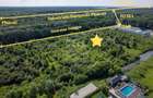 Teren 5.515 mp lângă Lidl Snagov – Ieșire la Lacul Snagov - 2