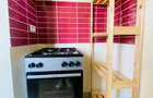 Proprietar, inchiriez apartament 2 camere in centrul Timisoarei - 11