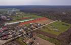 NUCI - BALTA NEAGRA, LOT 3900 MP, LA PADURE! - 9