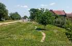 Livadă  mixtă  De vanzare  - 1