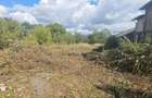 Vanzare teren intravilan in Teis, Dambovita - 3