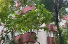 Apartament 4 camere 13 Septembrie - Prosper Disponibil imediat - 17