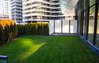 SPATIU COMERCIAL -  FLOREASCA / FABRICA DE GLUCOZA - 543 MP - 4