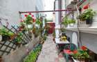 Casa individuală | Strada Plantelor | Curte proprie - 2
