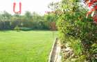 Mansion Luxuriant | Piscina Interioara | Teren tenis | 2500 mp gradina superba - 23