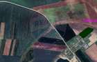Teren agricol 14,200mp zona fermei din Zimandu Nou - 1