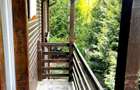 Casă rustică P+M duplex, teren 325 mp, foișor, Brebu PH 159000 Euro - 6