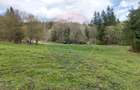 Poienita 2800mp, Covasna, zona hotel Clermont, inconjurat de padure - 11