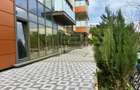 Penthouse de lux+parcare subterana Centru Palas MALL - Lazar Residence - 50