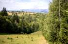 Comision0% Investitie turistica unica - Bran Sohodol 10131mp-Via Transilvanica - 5