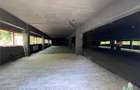 De inchiriat spatii comerciale, hale si birouri - 3
