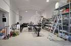 Spatiu Industrial/Depozit - Zona Dambul Rotund - Birouri + Parcari - 3