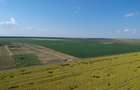 🌿Retras-Teren intravilan 4750 mp cu PUZ aprobat | 15 km A0 | POT 60% | CUT 1.8 - 6